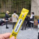 인영홍삼