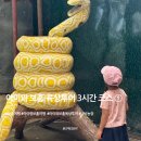 우산농장 | 보홀 육상투어 3시간 코스 ①｜나비농장·로복강 크루즈·원주민 마을 체험 + 아이동반 꿀팁