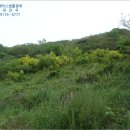 여수개도우체국 이미지