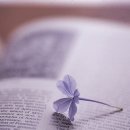 한잔가득 이미지