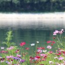 화천쉼터 이미지