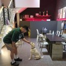 칠보동물병원 이미지