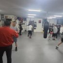 고영삼복싱아카데미 이미지