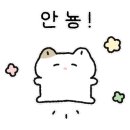 새 스타노래연습장 이미지