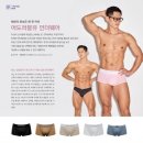(주)스타인터내셔널디자인