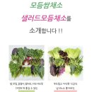 라움팜 이미지