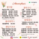 아마레웨딩 이미지