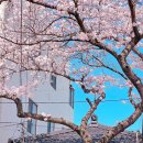 세븐일레븐 제주전농로점 이미지