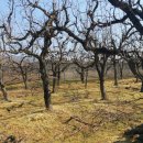 자인공인중개사사무소 이미지