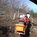 함평참쑥 영농조합법인 이미지