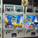 찬스뽑기방 이미지