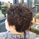 50대 중년 숏커트파마, 짧은머리 커트머리 볼륨아이론 다운펌 이미지