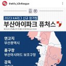 2023 K4리그 신규참가팀 , 부산 아이파크 퓨쳐스 이미지