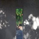 볕뉘