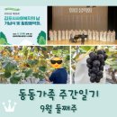 성하농장 | 동동가족 주간일기 9월 둘째주 / 합창단 연주(김포 사회복지의날 힐링음악회) / 김포포도 수확체험 /