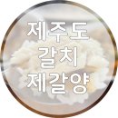 제주베이통갈치구이 | 제주 협재 갈치구이 갈치조림, 제갈양 내돈내산 솔직 후기