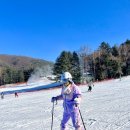 알펜시아리조트 | 평창 알펜시아 리조트 스키장 후기 렌탈샵 리프트권 의류 장비 할인 '뽀드득'