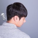 댄디라인