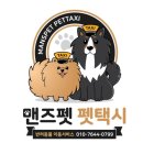 맨즈펫 이미지