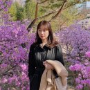 어썸프라이빗헤어 이미지
