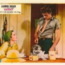 자이언트목장 이미지