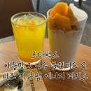빙수팝 | 스벅 애플망고 빙수 블렌디드 후기 (+버즈 키위 팝 에너지 피지오)