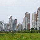 대림스카이공인중개사사무소 이미지
