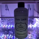 아쿠아pure 이미지