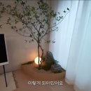 주호조경 이미지