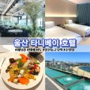 울산 동구 오션뷰 숙소 타니베이호텔 웨딩홀 뷔페 수영장 후기