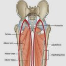 국가대표 태권도 이미지
