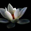 들꽃산장 이미지