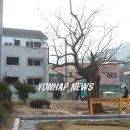 고목초등학교 연합뉴스