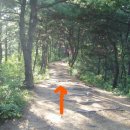 축제코스 이미지