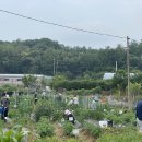 여가농장 이미지