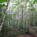 원주굽이길 16코스 매지순환둘레길 | 원주굽이길 16코스 매지순환둘레길