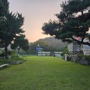 메모리독펜션