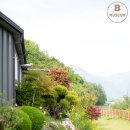 골든힐(Golden Hill) | [후기/사진많음] 밀양 신상 애견펜션, 공간대여 골든힐