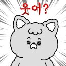 러블리독 이미지