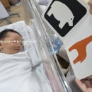 분당-3 | 분당제일여성병원 제왕절개 3-5일차 회복 후기ㅣ어느덧 싹튼 모성애(?)