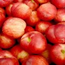 알리익스프레스 신비복숭아 1키로 3,220원, 2키로 4,469원 이미지