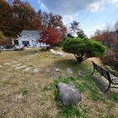 무릉도원면-1 이미지