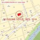 금오대로-2 이미지