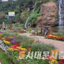 별,바람,꽃길 이미지