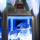 종합카에어컨냉동 | 일본에서 가장 깊은 바다 옆, 전 세계 유일 '냉동 실러캔스' 본 후기