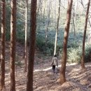 정편백 이미지