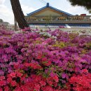 백수읍사무소 이미지