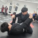 피보이 엠엠에이 이미지