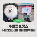 2025 수원펫쇼 방문후기 및 떼샷공개