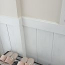 반려견 패션 전문가 양성과정 | [대구] K위드컴퍼니 | 대구퍼스널컬러 진단 받고 온 후기